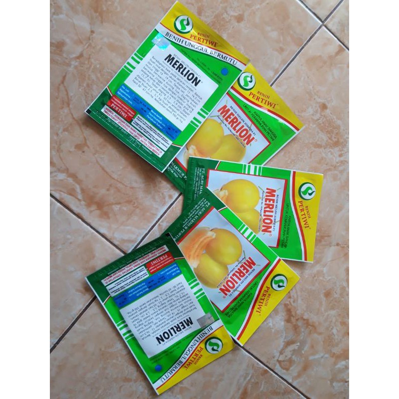 benih melon golden (benih merlion, pertiwi)