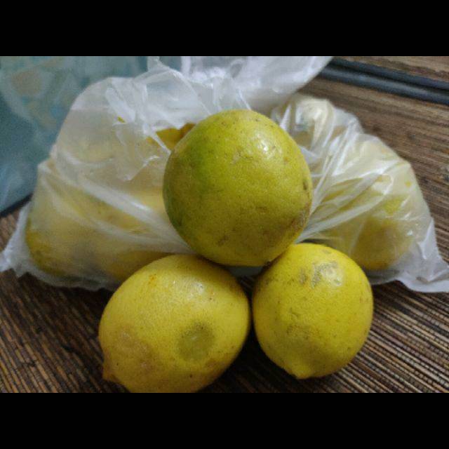 

BUAH LEMON SEGAR PER KILO