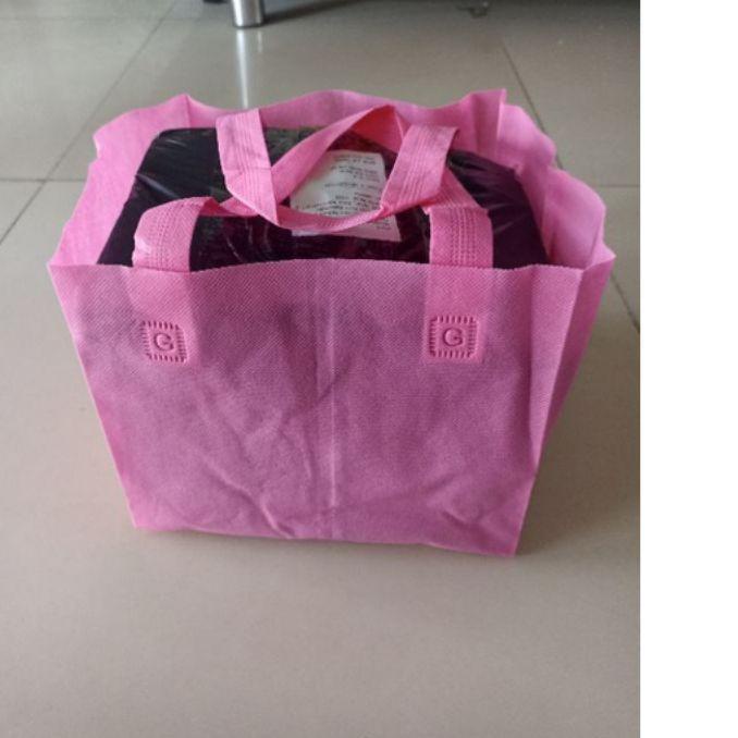 

Tas Kain Spunbond HLS Dus nasi 22x22x22