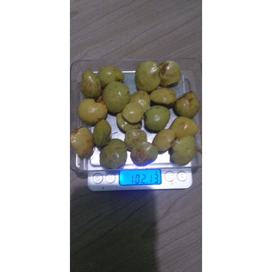 

JENGKOL MUDA KUPAS 100 gram Best Seller