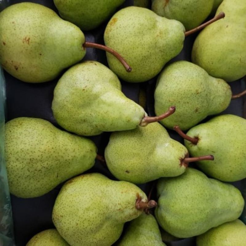 

Buah Pear Packham hijau Fresh - 1 kilogram