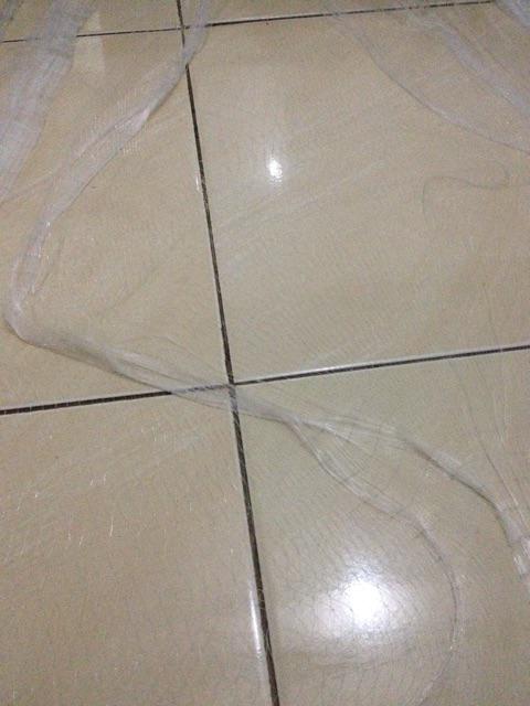 Jaring Burung Pelindung Padi Di Sawah Warna Putih Bening