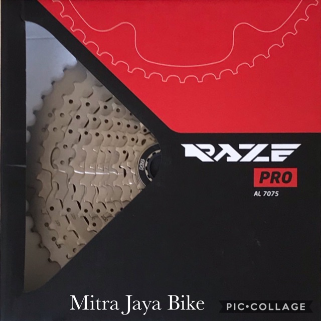 Sprocket Cassette Raze Pro 12 Speed 11-52T