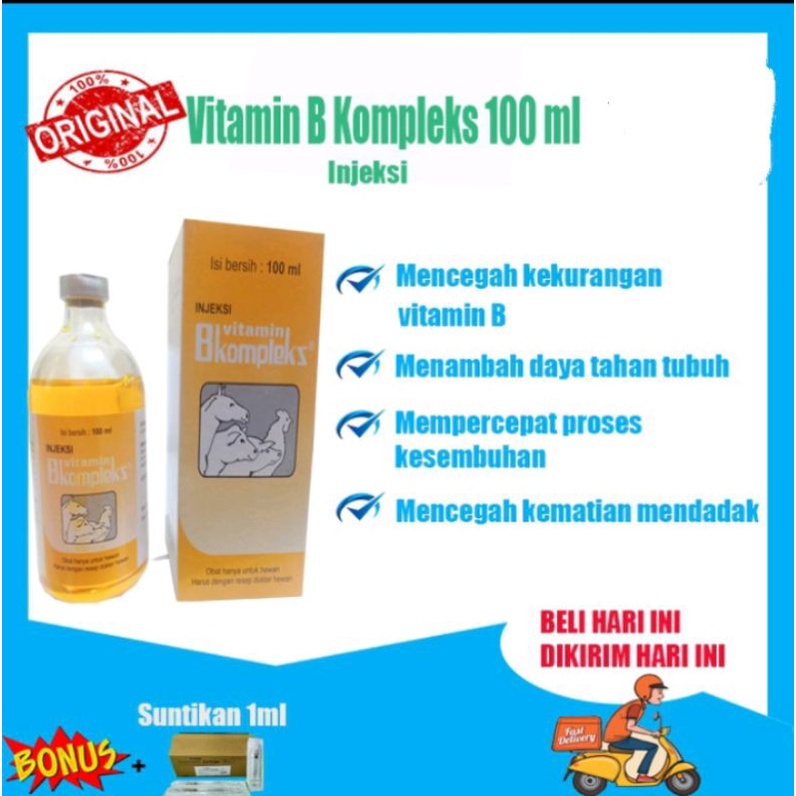 Jual Vitamin B Kompleks 100 Ml Injeksi Indonesia|Shopee Indonesia