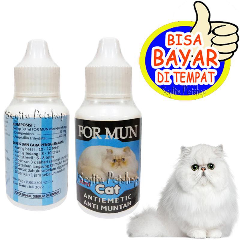 Obat kucing muntah For Mun