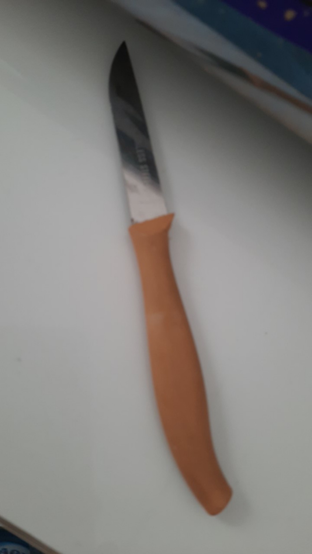 Pisau Stainless Steel Gagang Pelastik Kecil Kupas Buah Sayur Dll