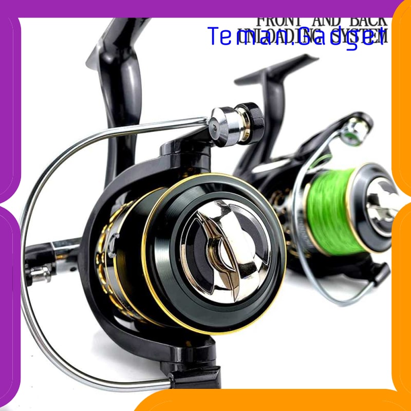 TG-IF243 GOLD SHARKING BK2000 REEL PANCING SPINNING 5.2:1 BALL BEARING 13