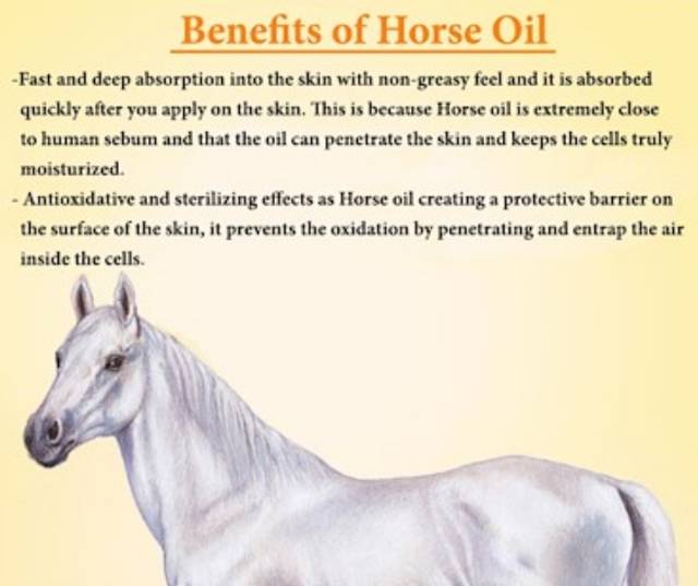 Lishan Horse Oil Moisturizing Skin Cream 200g