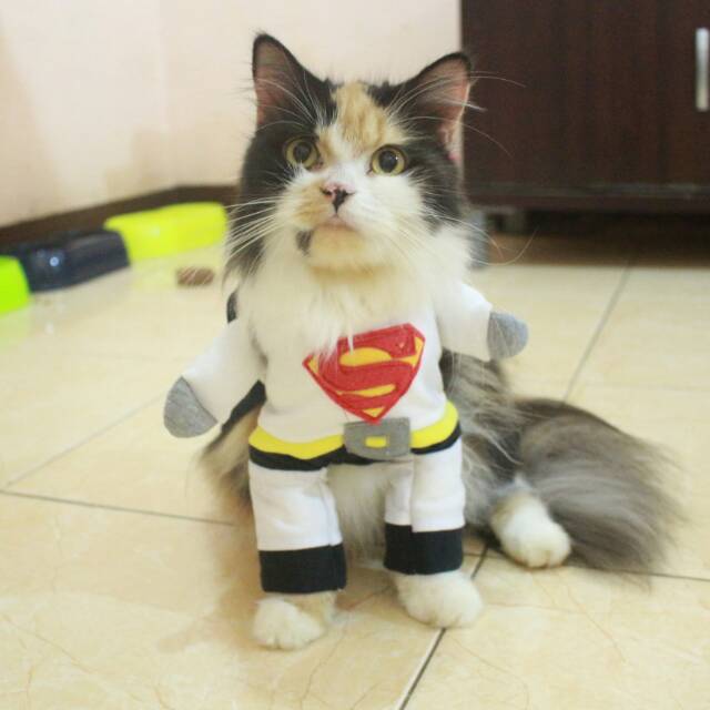 Kostum white superman untuk kucing dan anjing / kostum superhero hewan size S M L XL