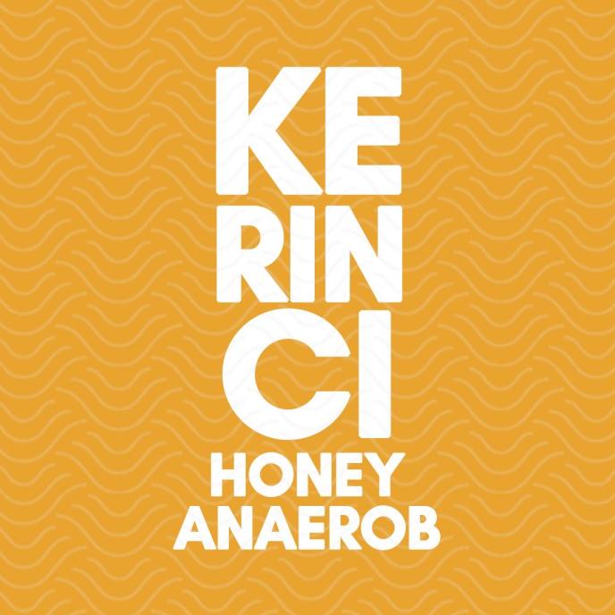 

kopi arabika kerinci honey anaerob 200gr