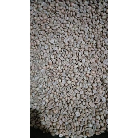 

ROBUSTA DAMPIT