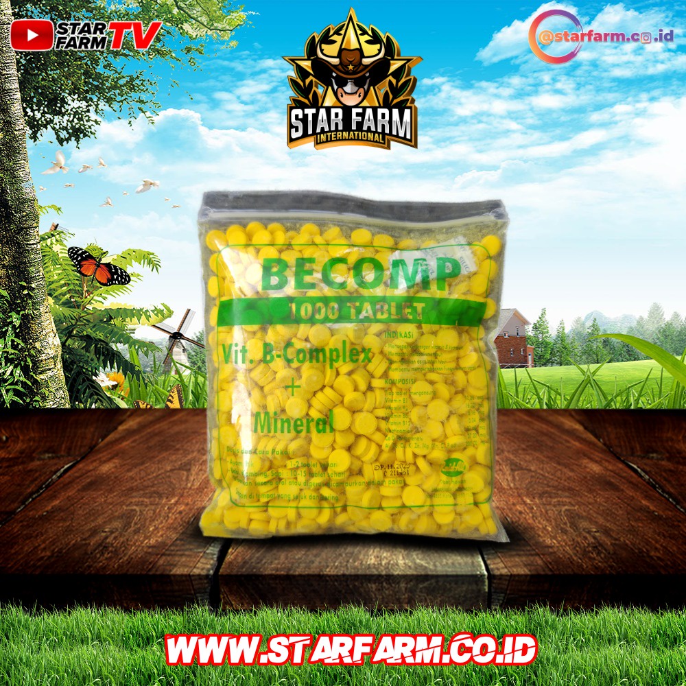 Jual Vitamin B Kompleks BECOMP 1 Pack Isi 1000 Tablet - Star Farm ...