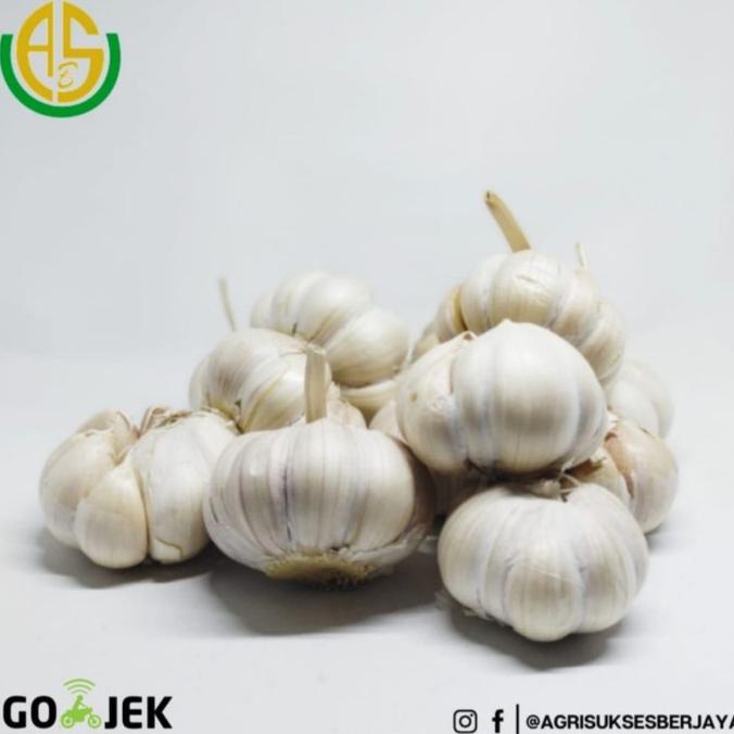 

Diskon BAWANG PUTIH HENAN / HONAN / BANCI / BAWANG PUTIH IMPORT 1 KG Diskon