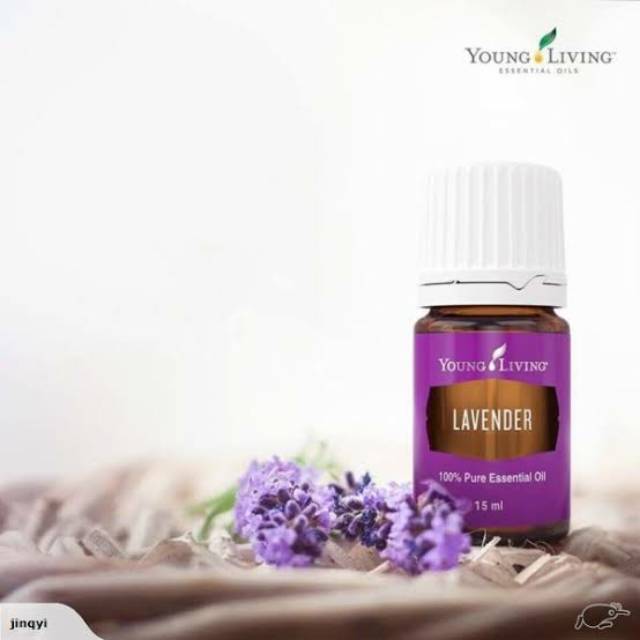 Jual Lavender 15ml | Shopee Indonesia