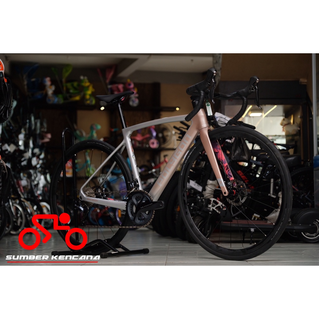 ROADBIKE POLYGON STRATTOS S8D