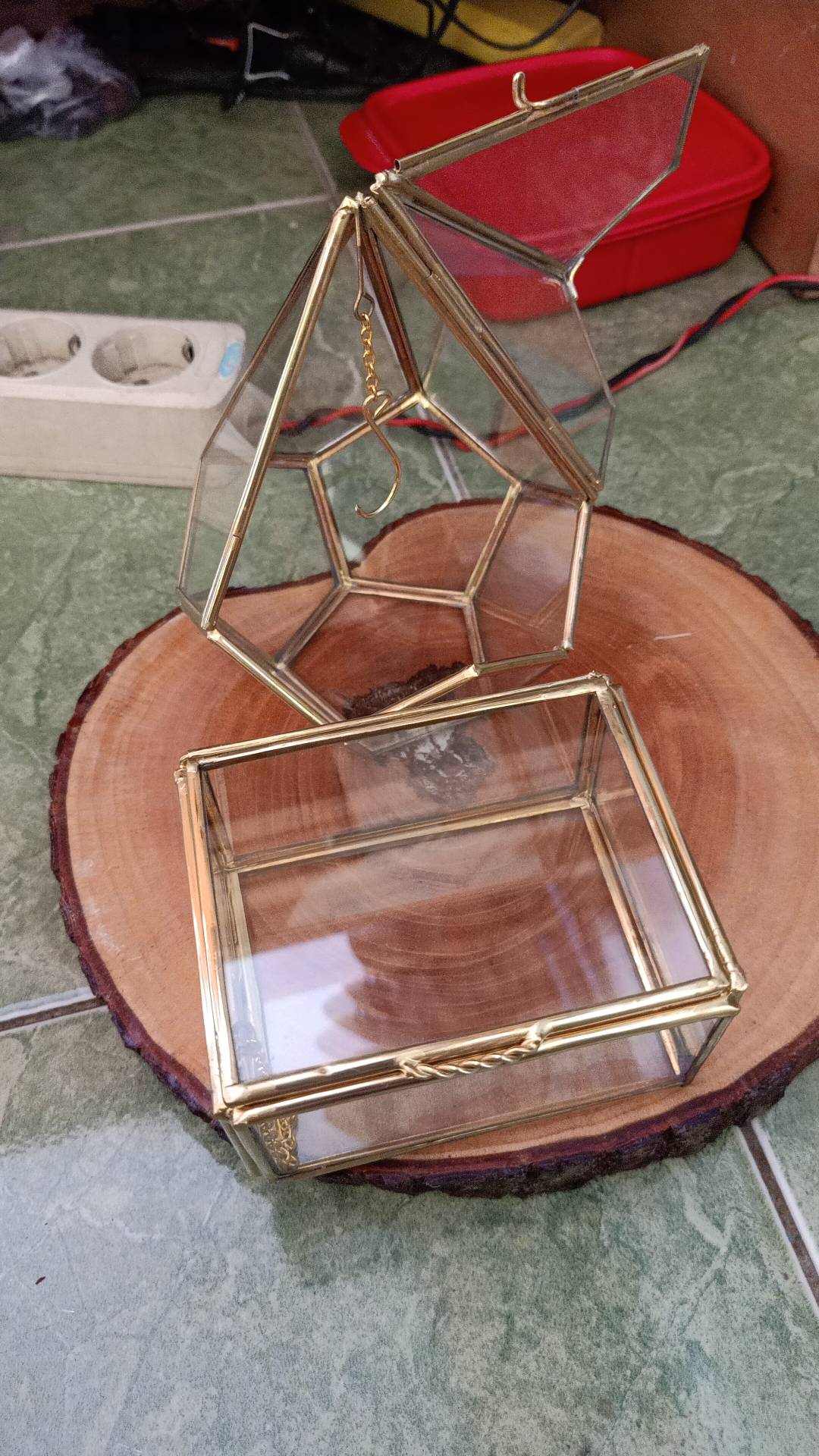 Satu Set Tempat Cincin Pengait Dan Woodslice