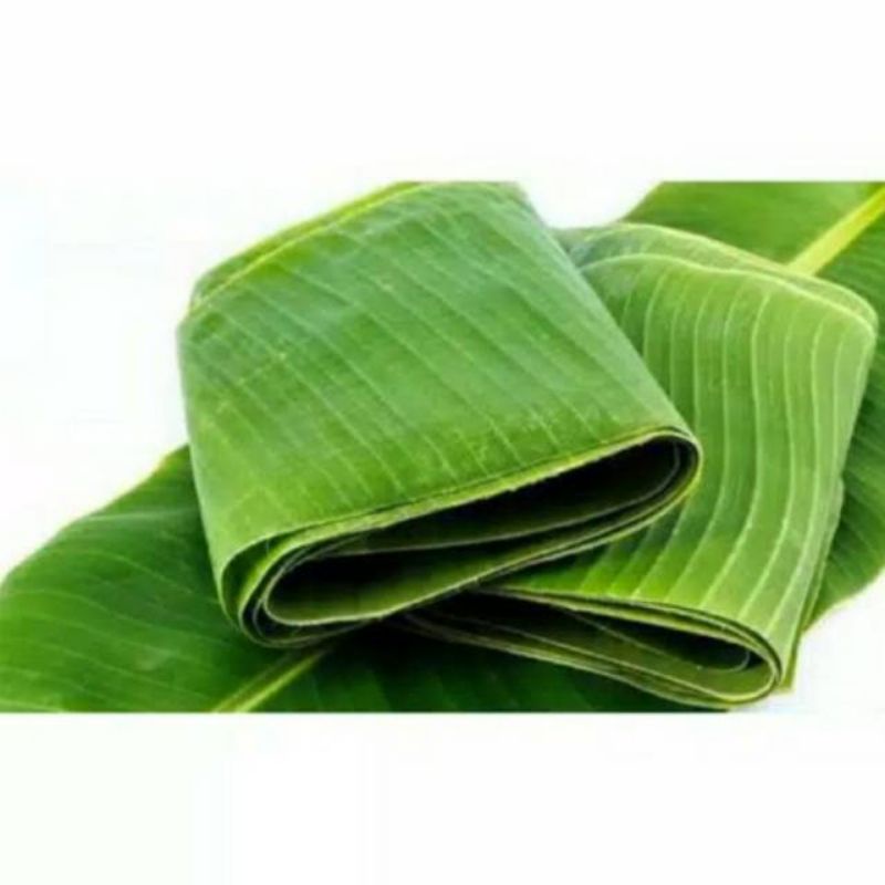 

daun pisang segar|daun pisang batu|daun pisang klutuk|banana leaf