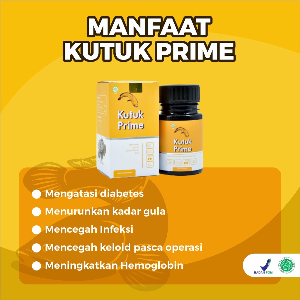 Kutuk Prime – Kapsul Kutuk Prime 100% Ekstrak Ikan Gabus Atasi Luka Operasi Sembuhkan Diabetes Cepat Keringkan Luka Operasi Turunkan Kadar Gula Cegah Infeksi Pada Luka Cegah Keloid Atasi Luka Bakar Kecelakaan