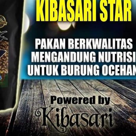 ♤ KIBASARI STAR - Cokelat ☃