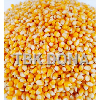 

jagung popcorn mentah 1 kg / jagung popcorn / jagung popcorn yellow