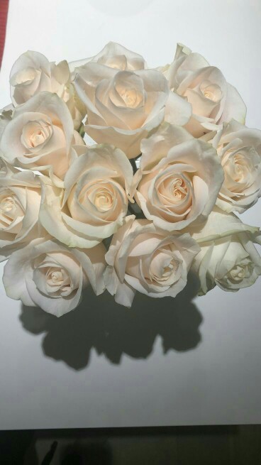 Baju Batik Anak Perempuan Umur 2-13 Tahun Terbaru / Dress Anak Batik Lengan Pendek Anak Cewek Murah