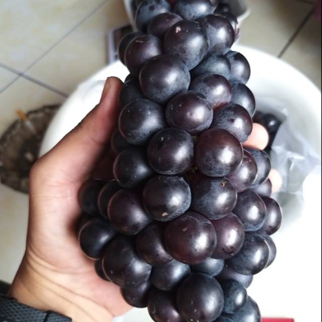 Buah Anggur Hitam Lokal Bali Manis Asam Segar Bukan Anggur Import Shopee Indonesia