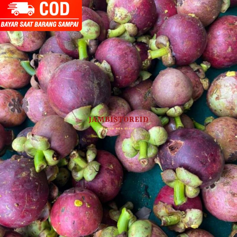 

(JAMBISTOREID) KHUSUS KOTA JAMBI JANGAN DIPESAN SEBELUM KONFIRMASI Buah Manggis Super Fresh 1kg Segar Baru Pengiriman Antar Paket Kurir