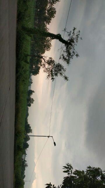 16x24 Standing Pouch Single Seal / Seal Biasa