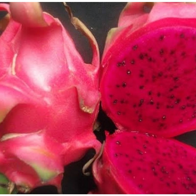 

BUAH NAGA MERAH 1KG/NAGA MERAH FRESH