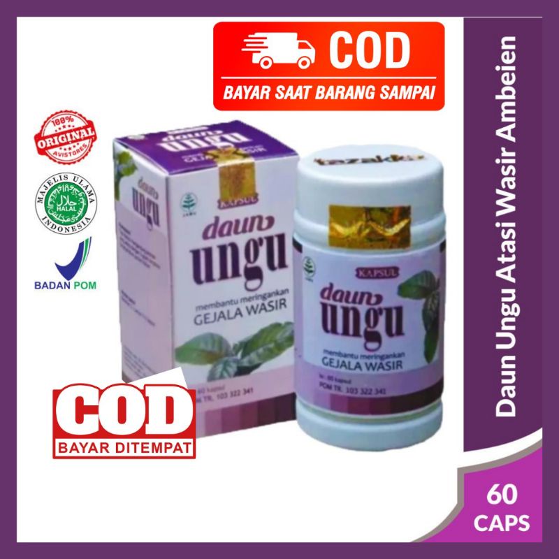 Obat Wasir Obat Ambeyen Ambeien Benjolan Di Dubur BAB Berdarah Kapsul Daun Ungu Ekstrak Daun Ungu