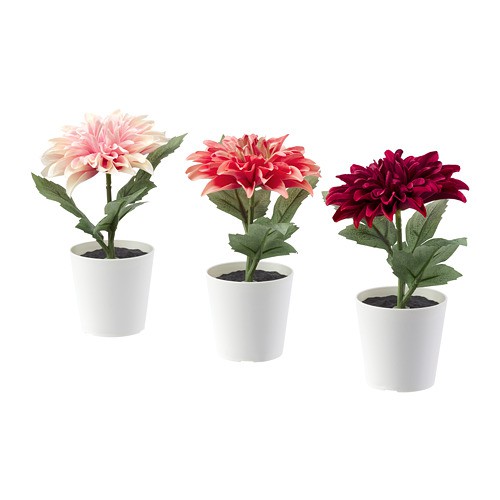 FEJKA Tanaman tiruan 3 pcs dengan pot Dahlia