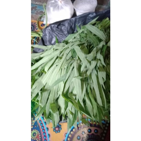 

daun ubi segar