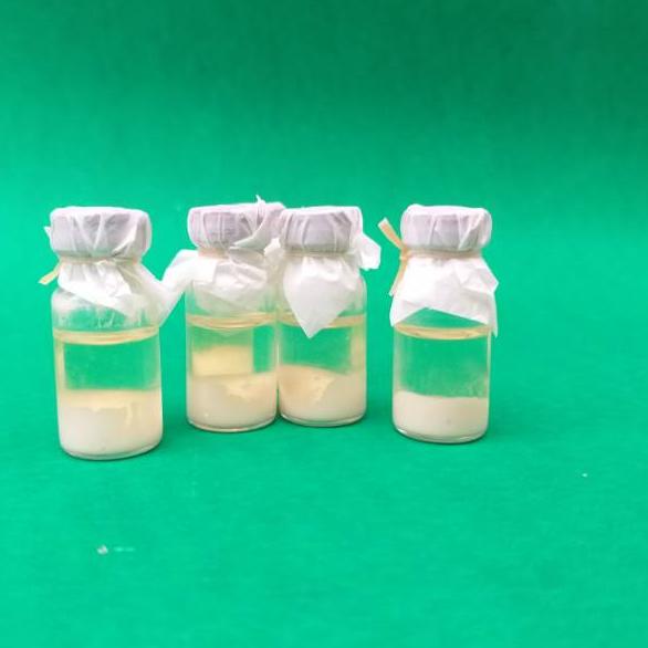 [PRODUK 9EKOP] Pinisilin minyak panasilin cair obat pengering koreng/cacar/luka luar tradisional muj