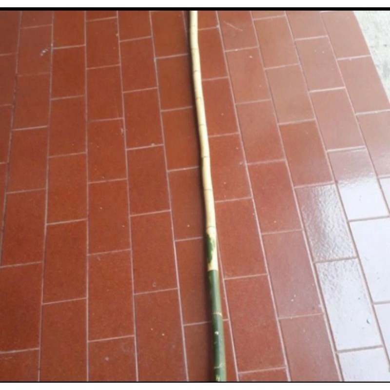 Batang pohon waregu joran