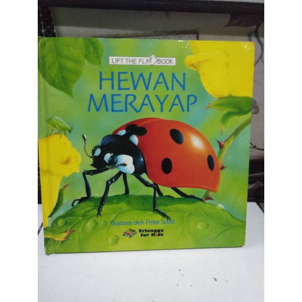 preloved buku lift the flap book hewan merayap Erlangga for kids