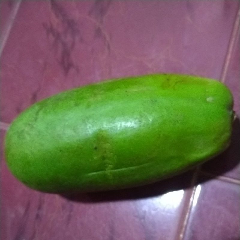 

pepaya untuk sayur
