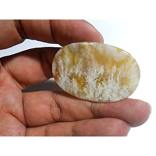 AG299 Oval Cabochon 43X28mm 83.6ct Natural Picture Agate White Orange Exotic Flower Cluster