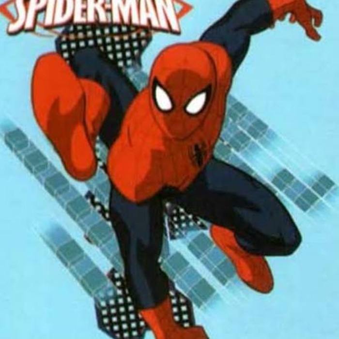 Selimut Panel Internal Blanket Motif Karakter - Uk.160x200