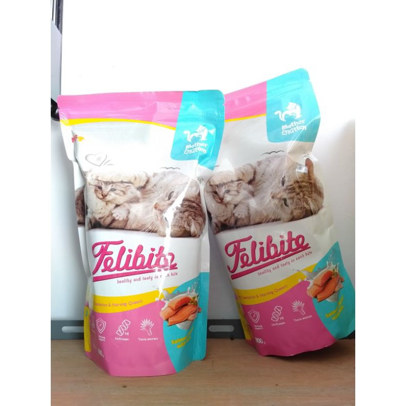 

FELIBITE MOTHER AND KITTEN 800gr