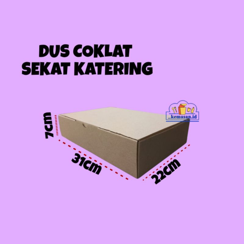 DUS EFLUTE COKLAT SEKAT KATERING 31.5x22x7