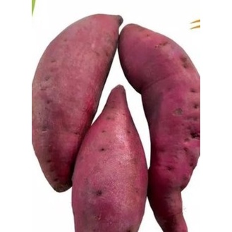 

UBI MURAZAKI CURAH 1 KG