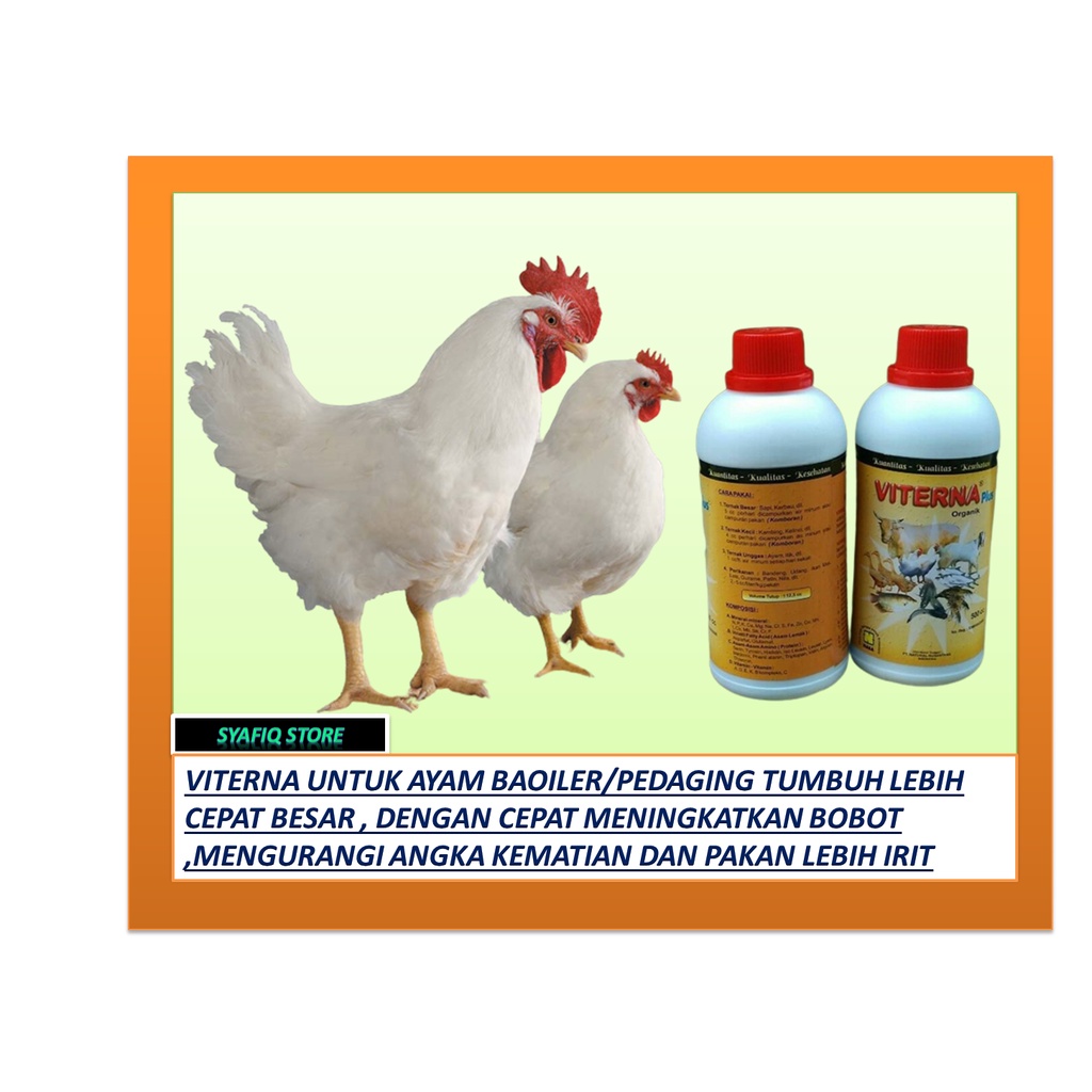 Vitamin Ayam Broiler,Vitamin Ayam Broiler Cepat Gemuk,Vitamin Broiler Agar Cepat Besar,Vitamin Ayam 