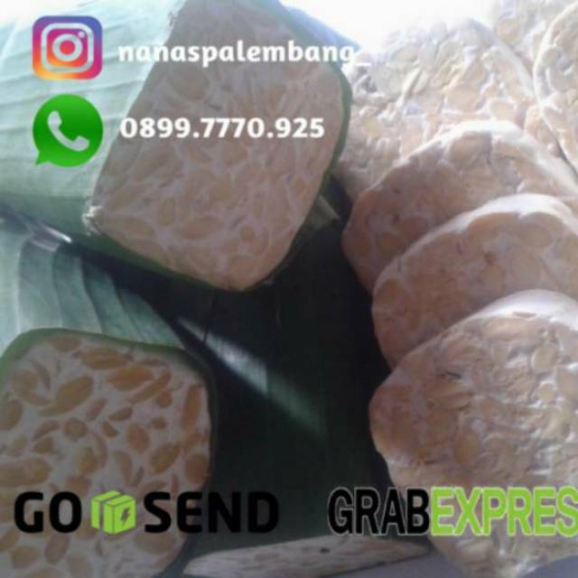 

Tempe daun