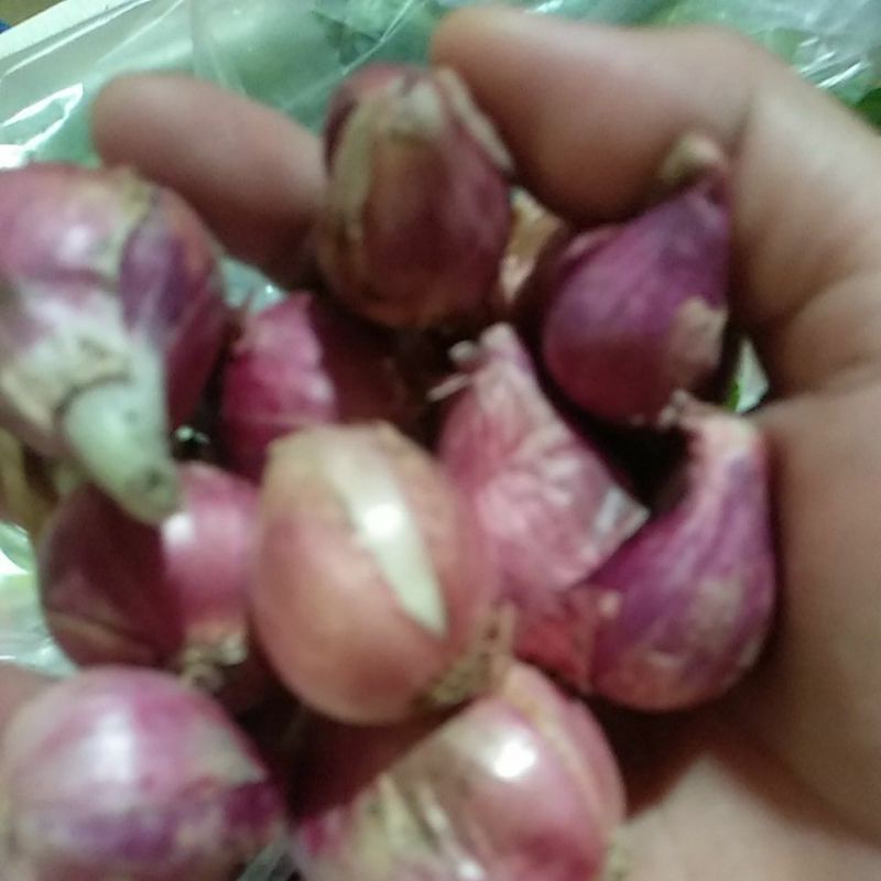 

bawang merah murmer 250gr