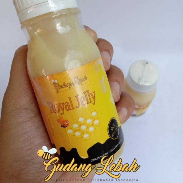 

Royal Jelly 95% 100 gr Asli dari Petani Lebah