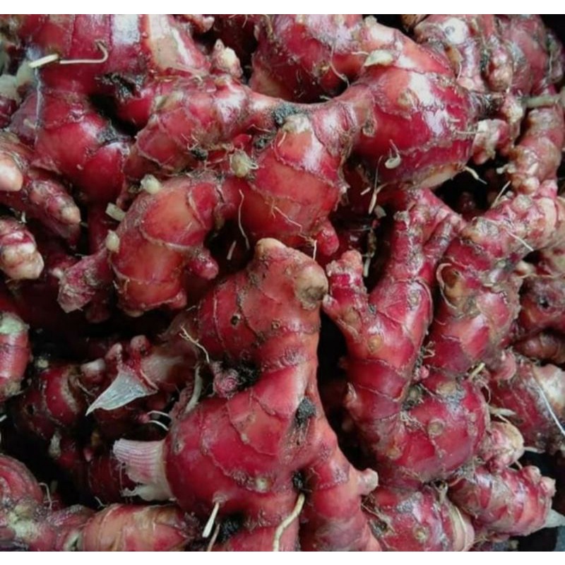 

JAHE MERAH 1 KG (kecil)