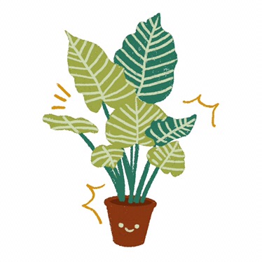 Macrame Plant Hanger / Mph 002 / Gantungan Pot / Plant Hangers