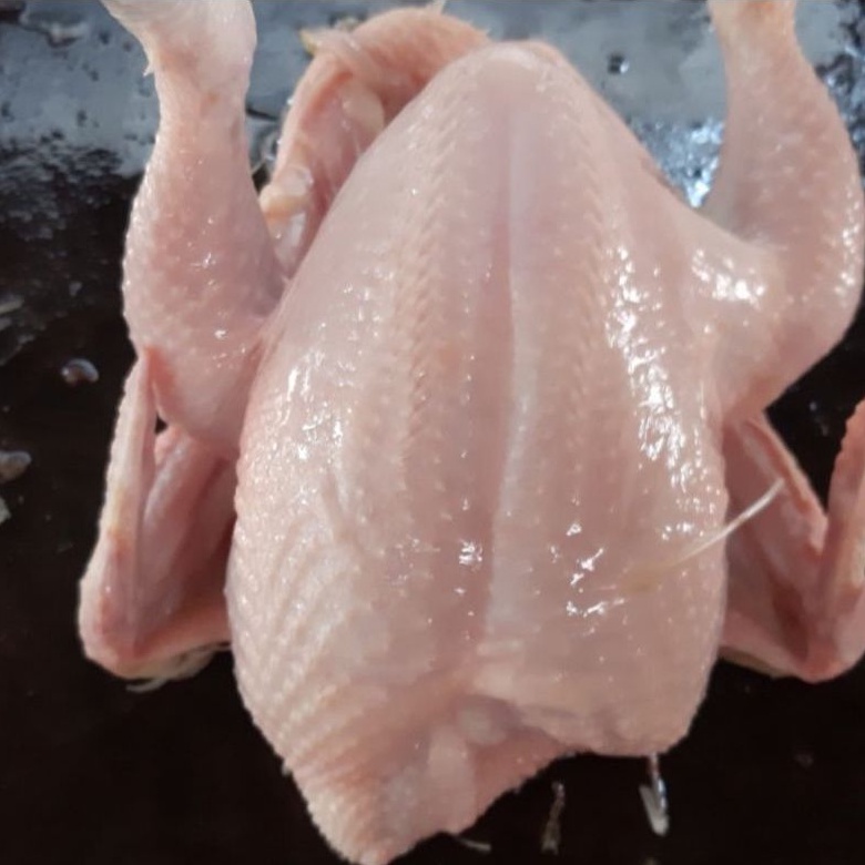 

Karkas Ayam Broiler Ayam Potong Utuh | 700-800 g