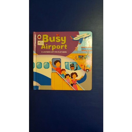 busy airport ladybug books