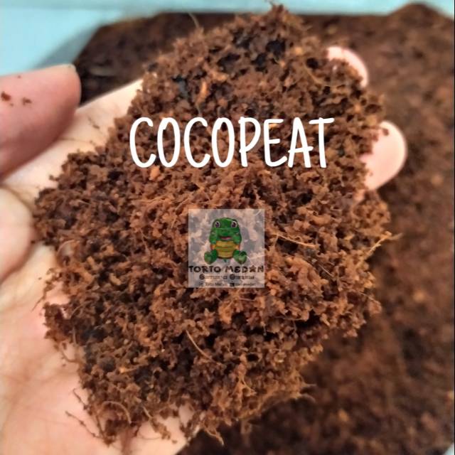 Cocopeat media tanam dan kura darat 1kg